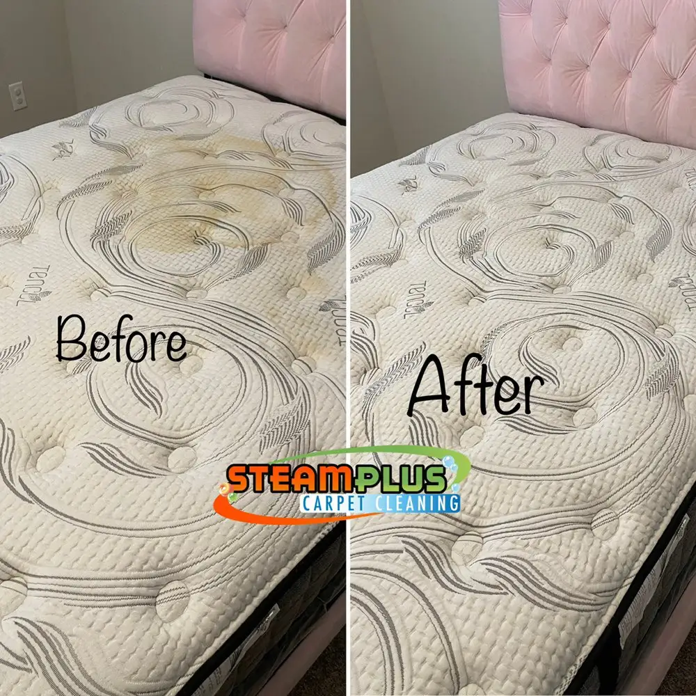 Before After Steamplus cleaning (4) Before After Steamplus cleaning (4)